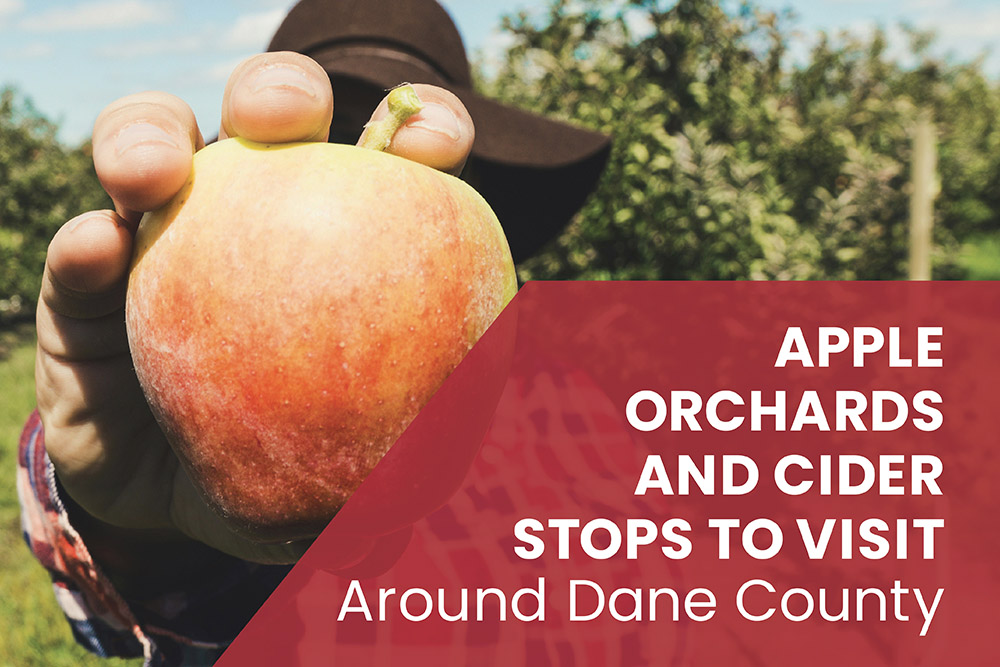 Apple Orchards and Cider Stops to Visit Around Dane County | Stark Company Realtors